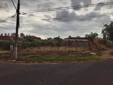 Lote/Terreno para alugar, 800m² no Ribeirânia, Ribeirão Preto