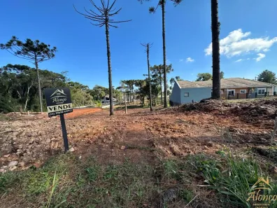 Lote/Terreno à venda, 811m² no Vila Germânia, Nova Petrópolis