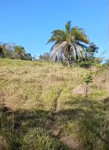 Fazenda/Sítio à venda, 3m² no , Bela Vista de Goiás