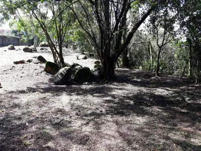 Lote/Terreno à venda, 75m² no Lageado, Porto Alegre