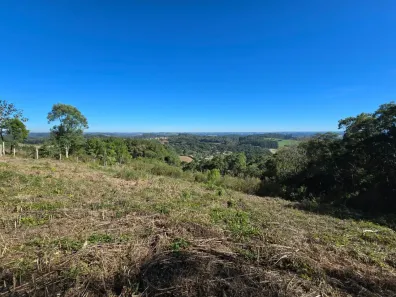 Fazenda/Sítio à venda, 32064m² no , Campo Alegre
