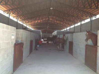 Fazenda/Sítio à venda, 20800m² no Bairro dos Pires, Limeira