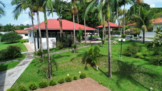 Fazenda/Sítio com 8 Quartos à venda, 7000m² no Vila Guadiana Mandaguaçu, Mandaguaçu
