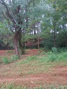 Lote/Terreno para alugar, 5500m² no Jundiaí Mirim, Jundiaí