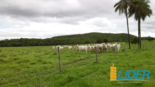 Fazenda/Sítio à venda, 1435m² no Centro, Unaí