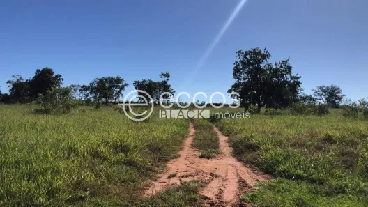 Fazenda/Sítio com 2 Quartos à venda, 190000m² no , Prata