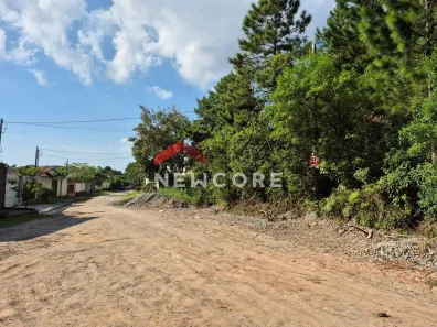 Lote/Terreno à venda, 590m² no Gramado, Cotia