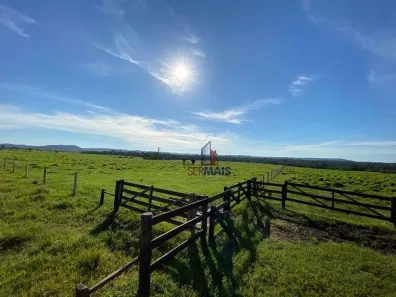Fazenda/Sítio com 1 Quarto à venda, 2541000m² no Zona Rural, Alto Alegre dos Parecis