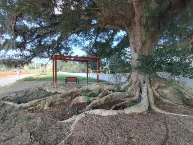 Lote/Terreno à venda, 180m² no Stella Maris, Alvorada