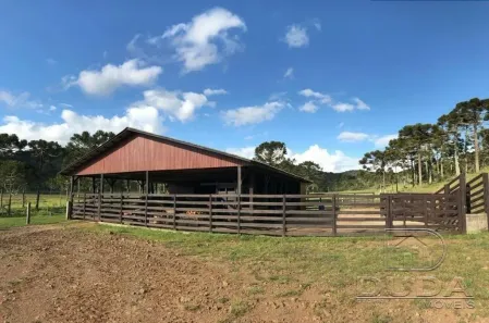 Fazenda/Sítio com 3 Quartos à venda, 128000m² no , Bom Jardim da Serra