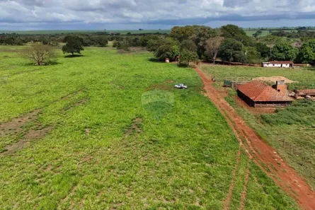 com 5 Quartos à venda, 266200m² no Ituverava, Ituverava