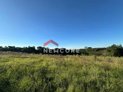 Fazenda/Sítio com 3 Quartos à venda, 150m² no Santa Cruz da Concórdia, Taquara