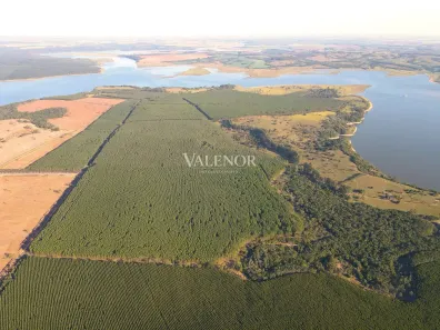 Fazenda/Sítio com 6 Quartos à venda, 10m² no Fazenda Santa Emilia da Itauna, Itatinga