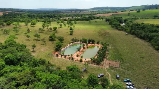 Fazenda/Sítio com 5 Quartos à venda, 121000m² no , Santa Cruz de Goiás