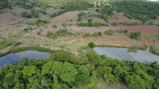 Fazenda/Sítio à venda, 244000m² no , Nova Veneza