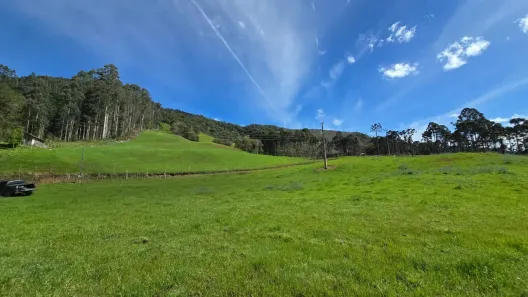 Fazenda/Sítio à venda, 73000m² no , Rio Rufino