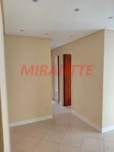 Apartamento com 3 Quartos à venda, 57m² no Vila Amélia, São Paulo