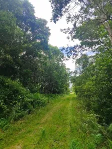 Lote/Terreno à venda, 181m² no Jardim Maramba, Itanhaém