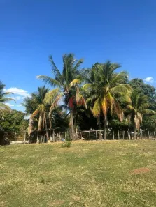 Fazenda/Sítio com 3 Quartos à venda, 100m² no , Pirapozinho