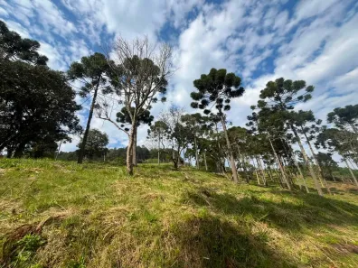 Lote/Terreno à venda, 3337m² no Cascatas, Campo Alegre