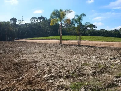 Lote/Terreno à venda, 21082m² no Felpudo, Campo Largo