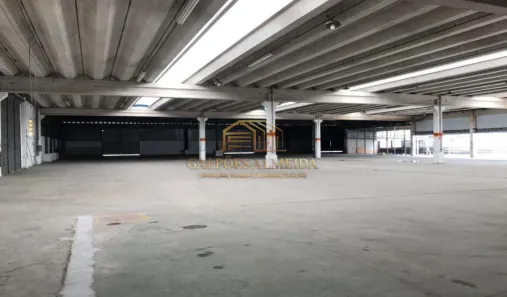 Galpão/Depósito/Armazém para alugar, 6700m² no Parque São Lourenço, São Paulo