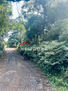 Lote/Terreno à venda, 800m² no Centro, São Francisco de Paula