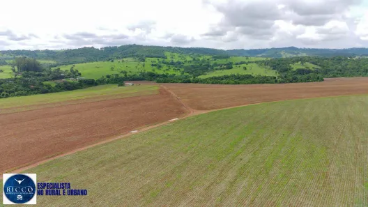Fazenda/Sítio com 4 Quartos à venda, 333m² no Setor Central, Itauçu