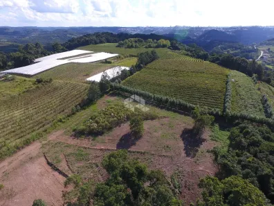Fazenda/Sítio à venda, 20000m² no Centro, Pinto Bandeira