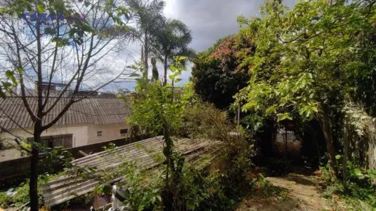 Lote/Terreno à venda, 318m² no Jardim das Palmas, São Paulo