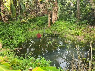 Fazenda/Sítio com 1 Quarto à venda, 60m² no Bairro da Pernambucana, São José dos Campos