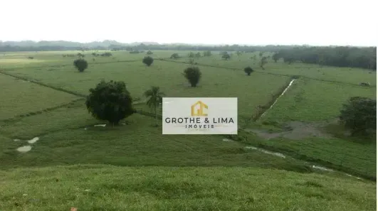 Fazenda/Sítio com 10 Quartos à venda, 1000m² no , Registro