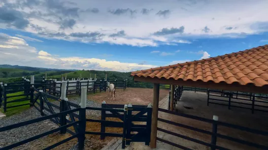 Fazenda/Sítio com 3 Quartos à venda, 350m² no Nogueira, Guararema