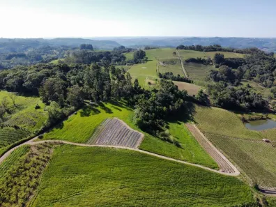 Lote/Terreno à venda, 40000m² no , Bento Gonçalves