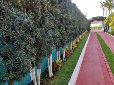 Fazenda/Sítio com 5 Quartos à venda, 10000m² no , Serrana