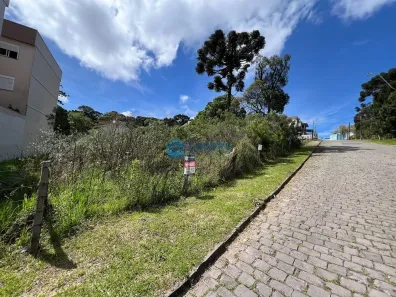Lote/Terreno à venda, 421m² no Ana Rech, Caxias do Sul