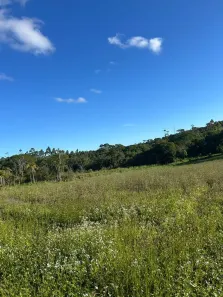 Lote/Terreno à venda, 500m² no São Paulo II, Cotia
