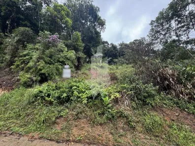Lote/Terreno à venda, 561m² no Garcia, Blumenau