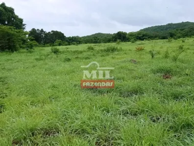 Fazenda/Sítio à venda, 500m² no , Faina
