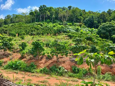Lote/Terreno à venda, 15000m² no , Santa Leopoldina