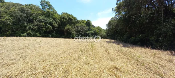 Fazenda/Sítio à venda, 22385m² no Porto das Laranjeiras, Araucária