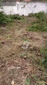 Lote/Terreno à venda, 560m² no Itaipu, Niterói