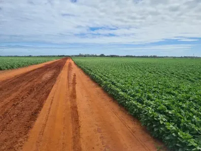 Fazenda/Sítio à venda, 5566000m² no Primavera, Rosana