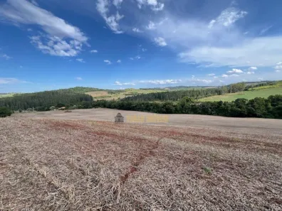 Fazenda/Sítio com 3 Quartos à venda, 1m² no Guaravera, Londrina