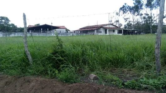 Fazenda/Sítio com 4 Quartos à venda, 370000m² no Centro, Timbaúba