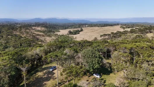 Lote/Terreno à venda, 99363m² no São Miguel, Campo Alegre
