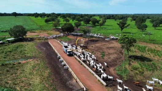 Fazenda/Sítio com 12 Quartos à venda, 24680000m² no Área Rural de Porangatu, Porangatu