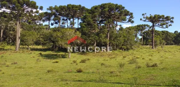 Fazenda/Sítio com 1 Quarto à venda, 100m² no Centro, São Francisco de Paula