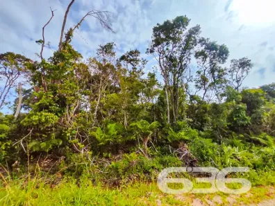 Lote/Terreno à venda, 360m² no Praia do Ervino, São Francisco do Sul