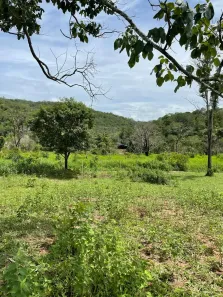 Fazenda/Sítio com 2 Quartos à venda, 271000m² no Setor Central, Santa Cruz de Goiás